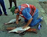 Duane Chapman filets a silver carp